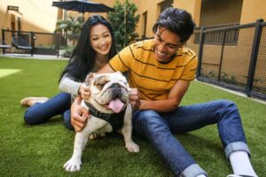 fake grass dog potty