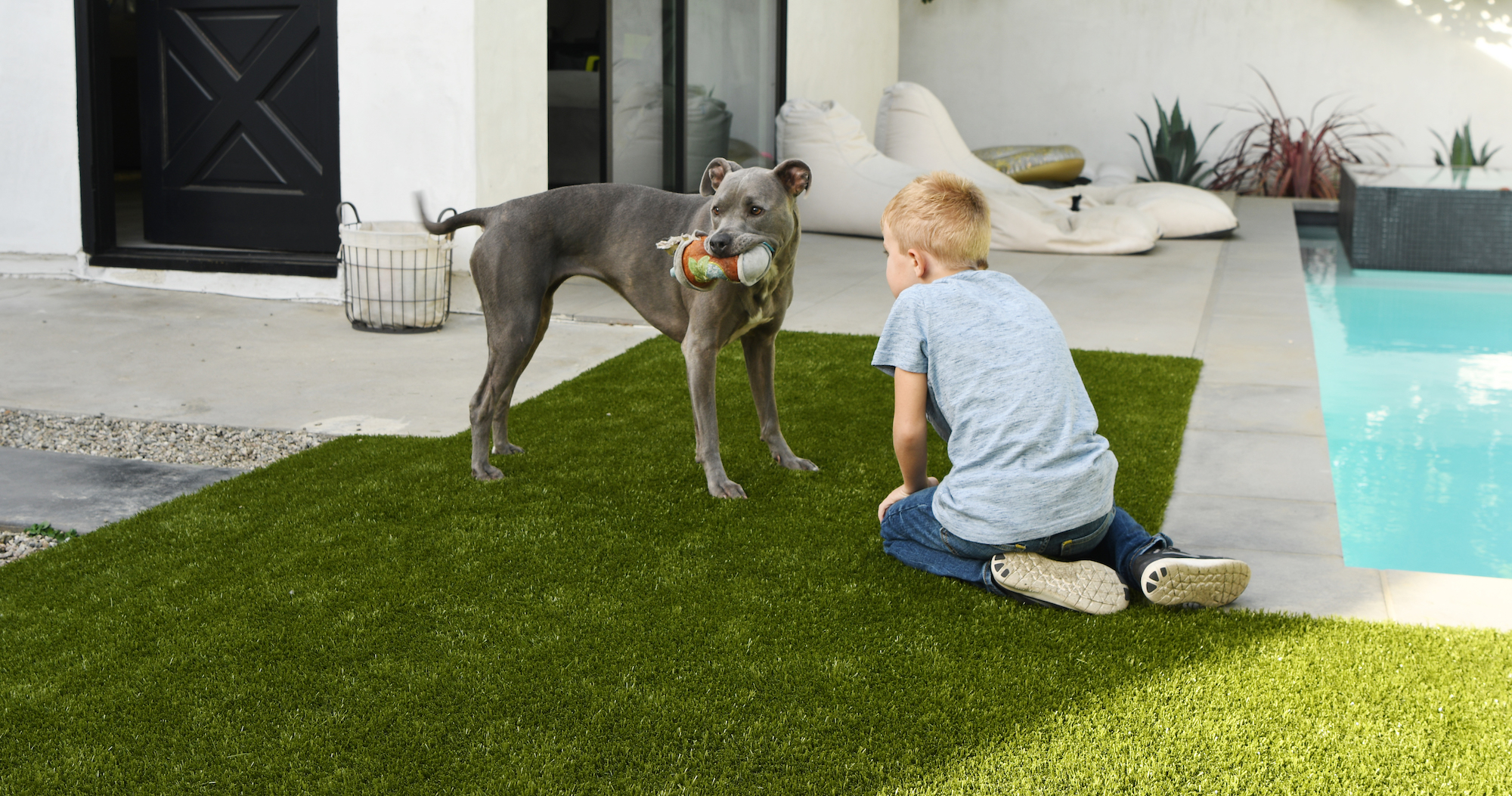 K9grass dog with toy and young boy