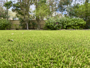 the best synthetic grass for dogs