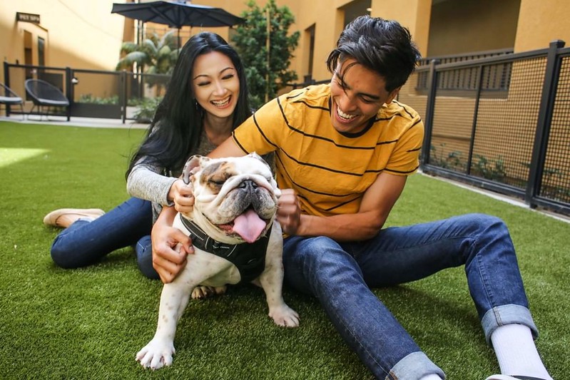 Couple with dog on k9grass