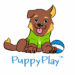 Puppy Play dog