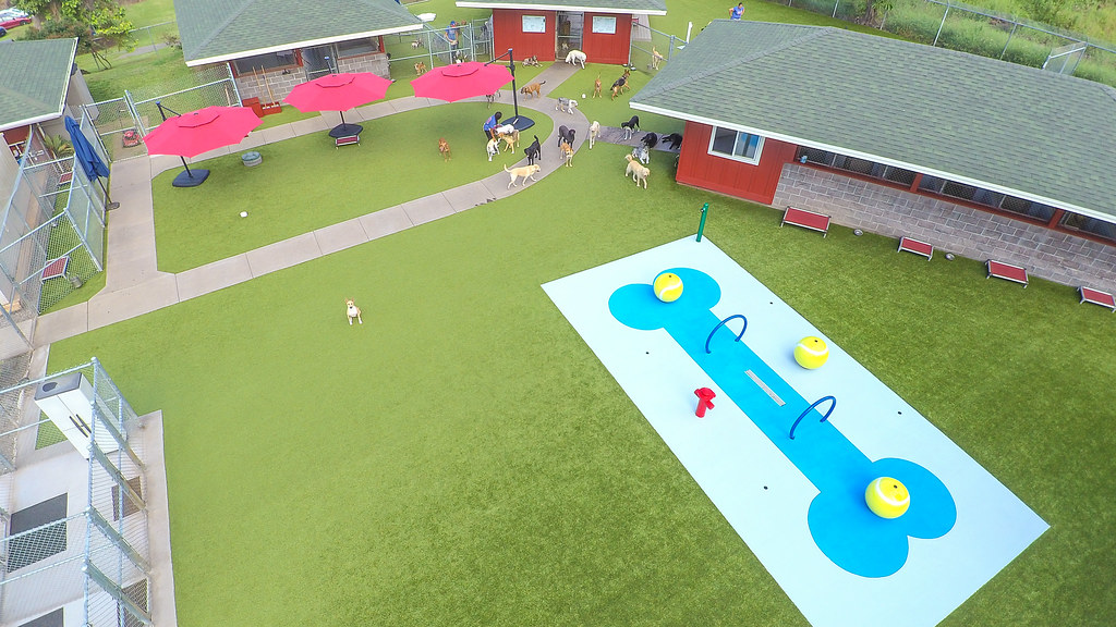 K9Grass synthetic turf installation at a dog boarding and daycare facility