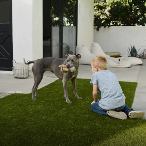 synthetic lawn for dogs