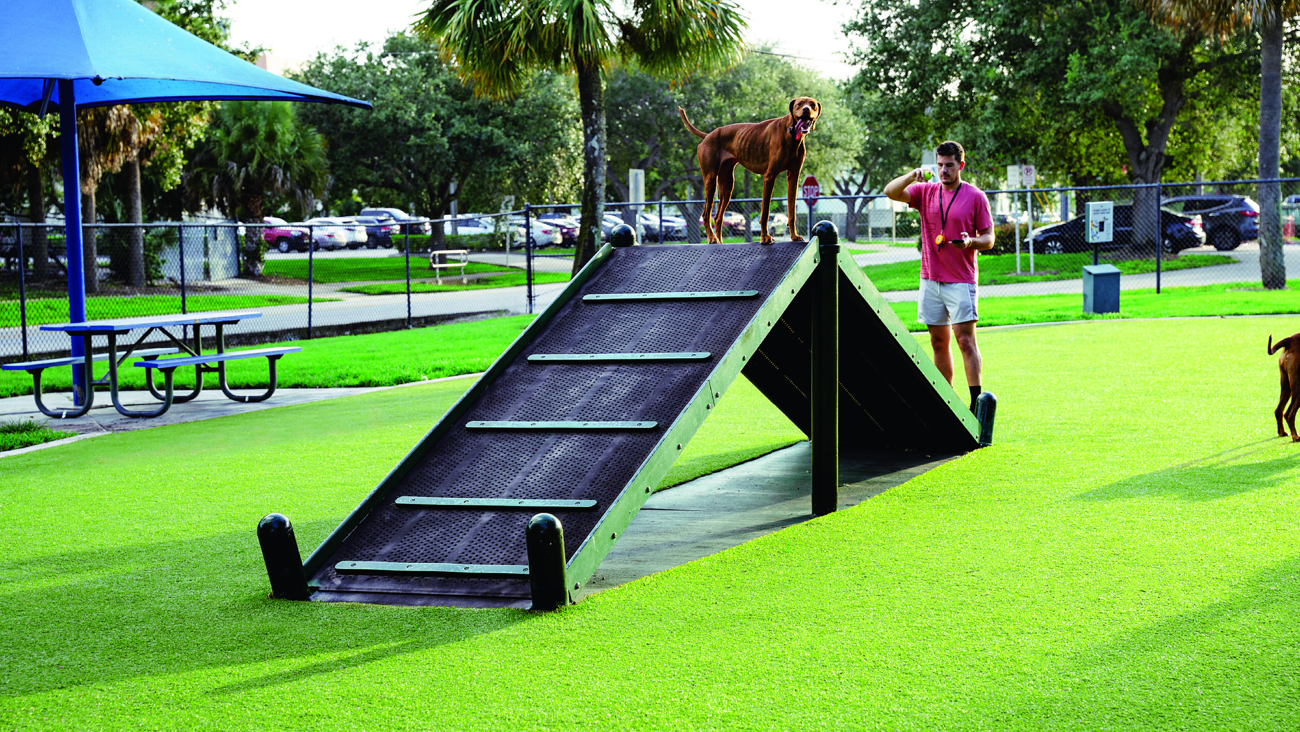 Dog park with K9Grass synthetic grass