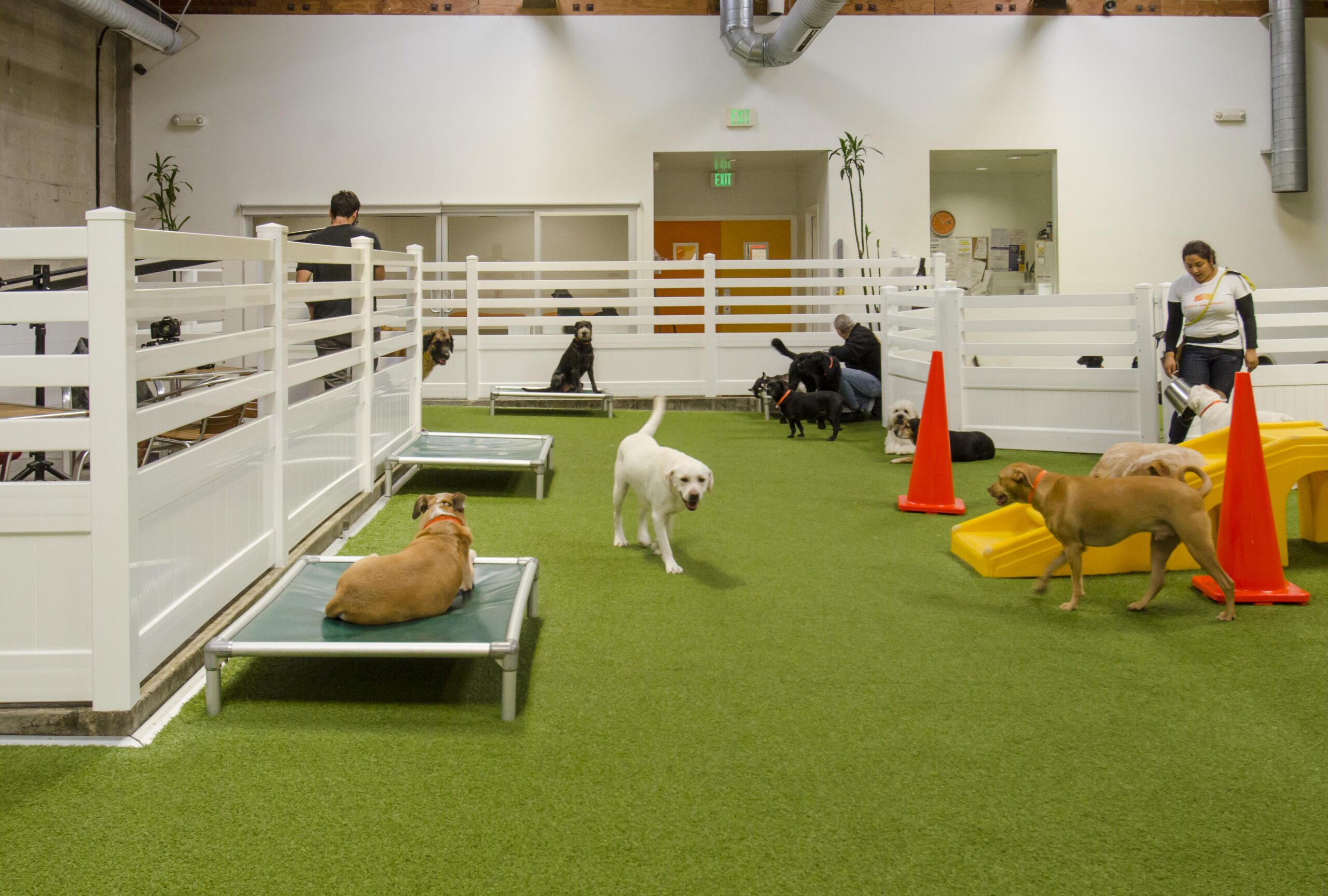 Commercial pet facility with K9Grass synthetic grass
