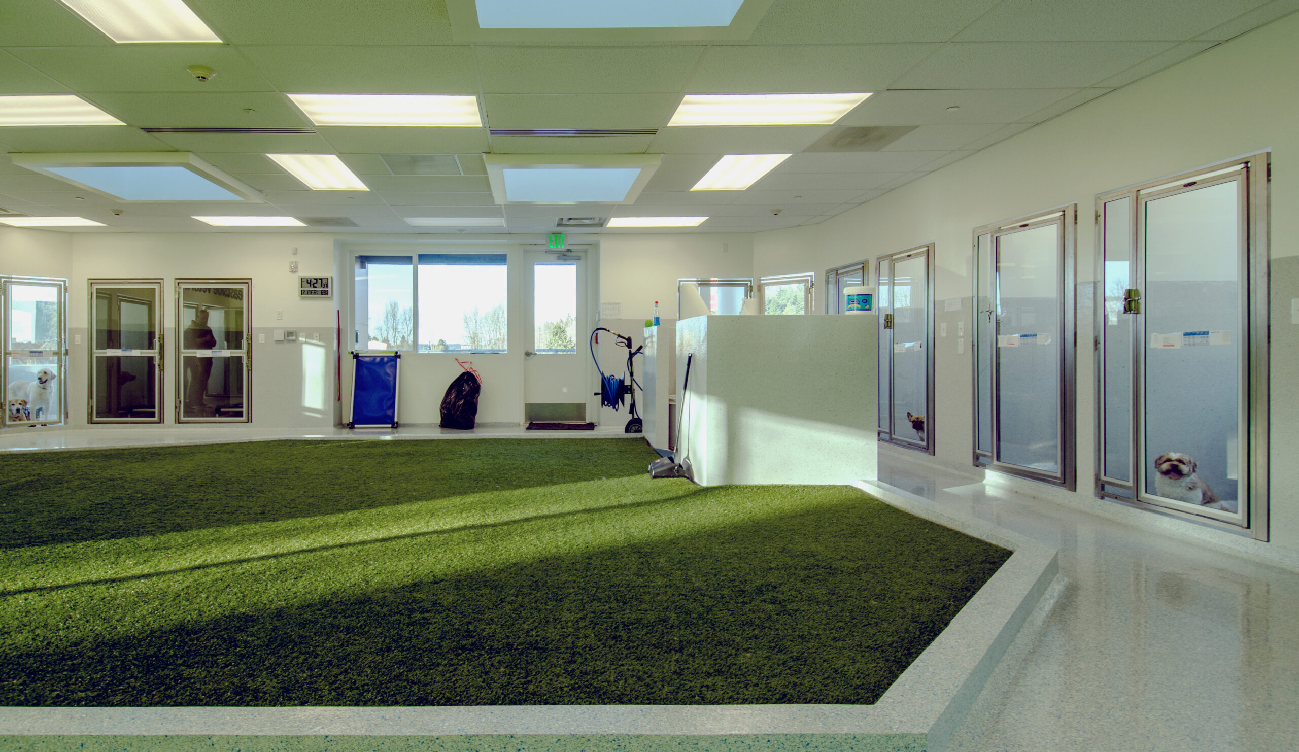 Vet facility with K9Grass synthetic grass and AirGrid