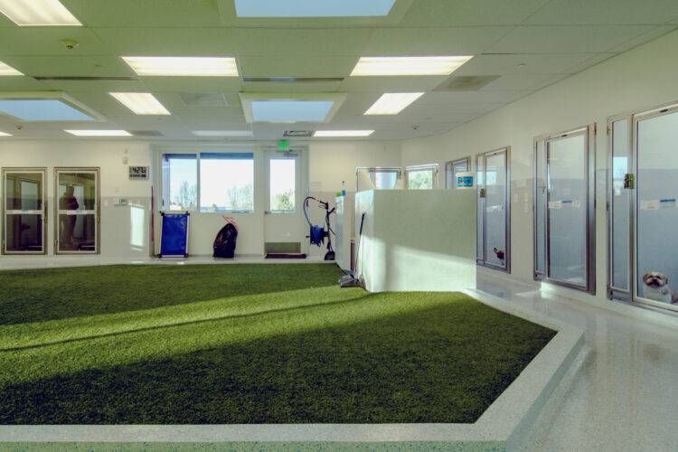 Vet facility with K9Grass pet turf