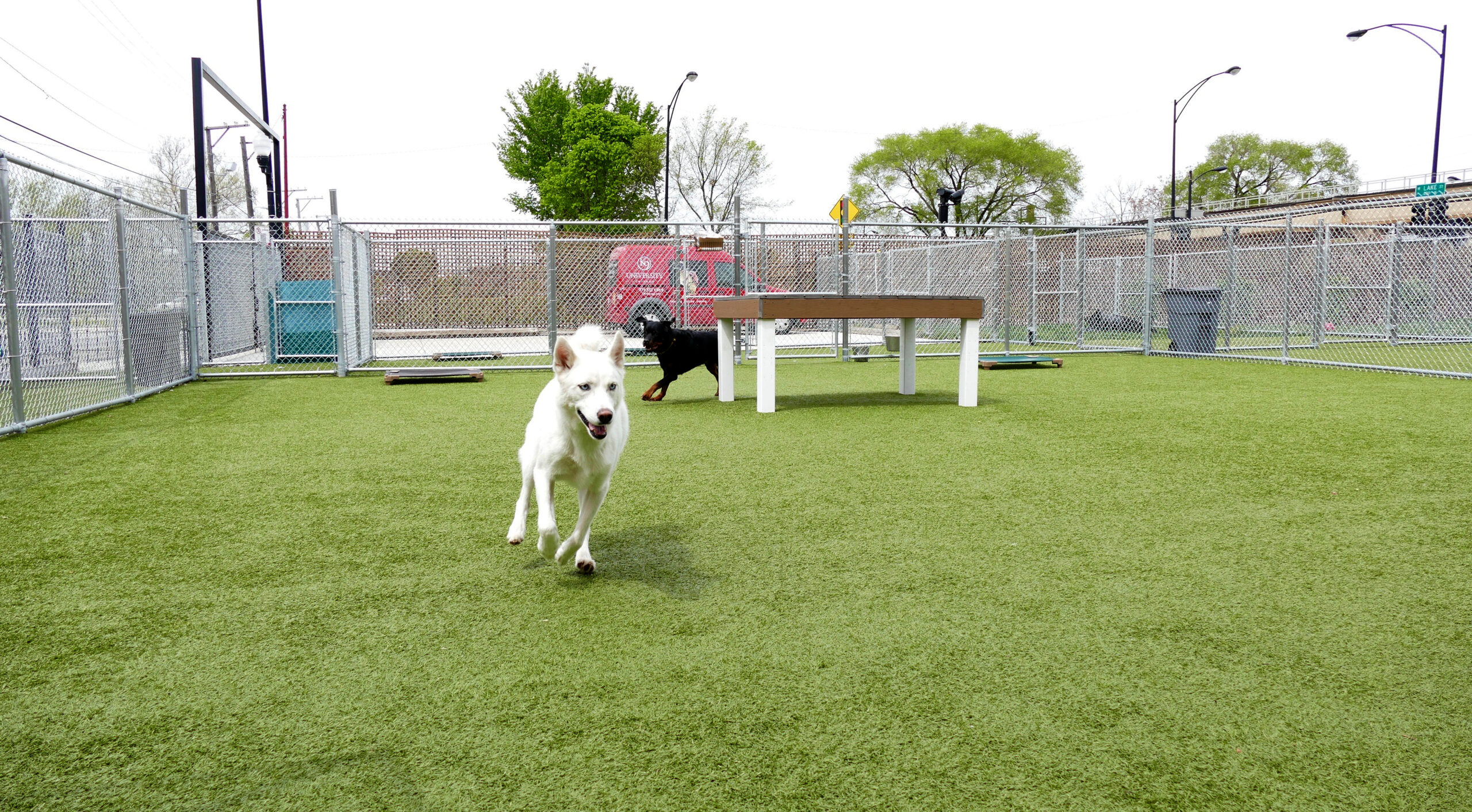 Commercial pet facility with K9Grass synthetic grass