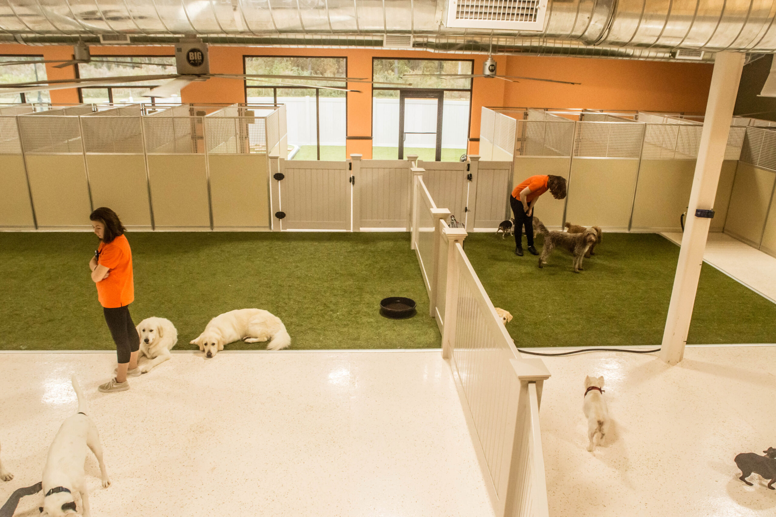 Indoor commercial pet facility with K9Grass synthetic grass