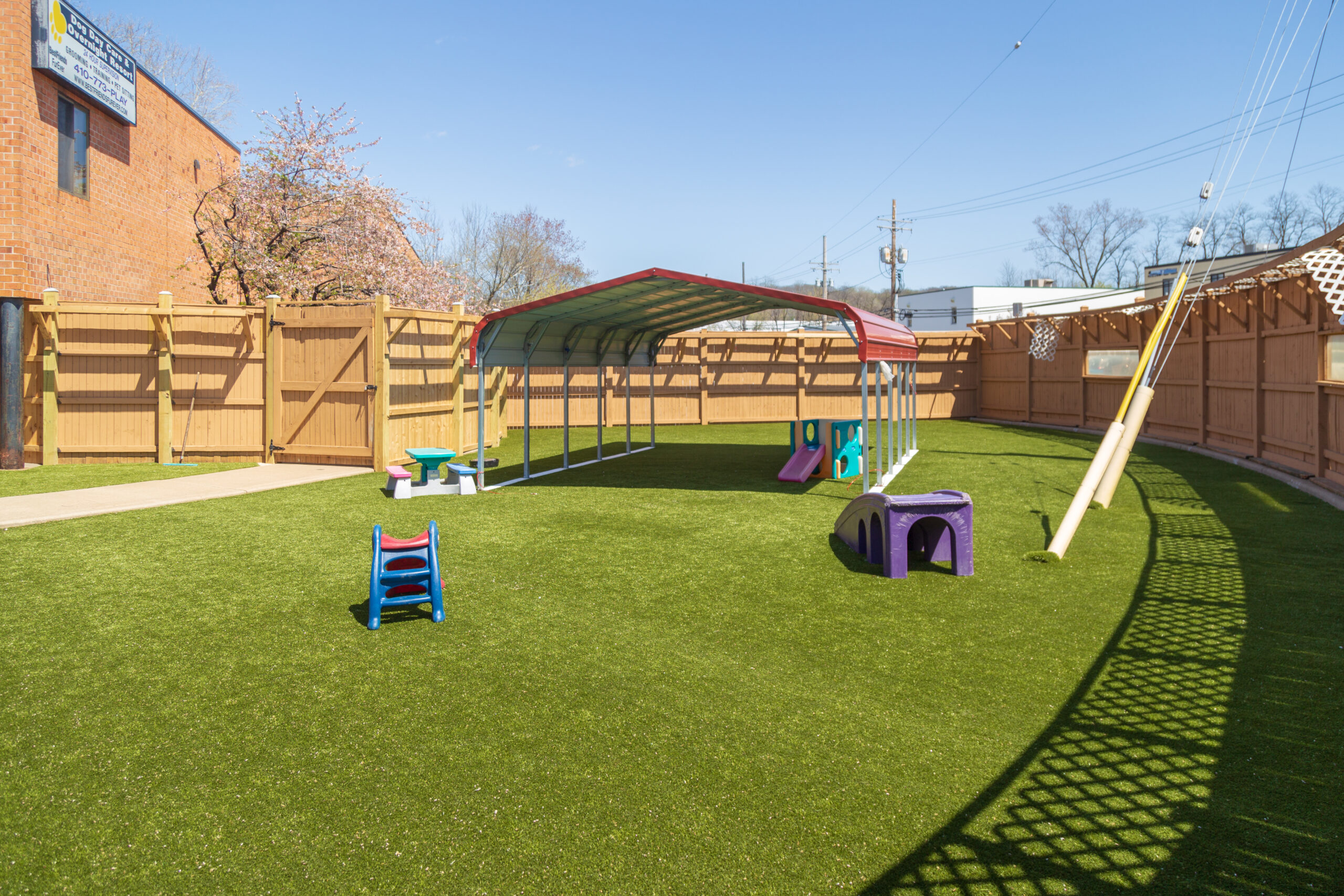 Commercial pet facility with K9Grass synthetic grass