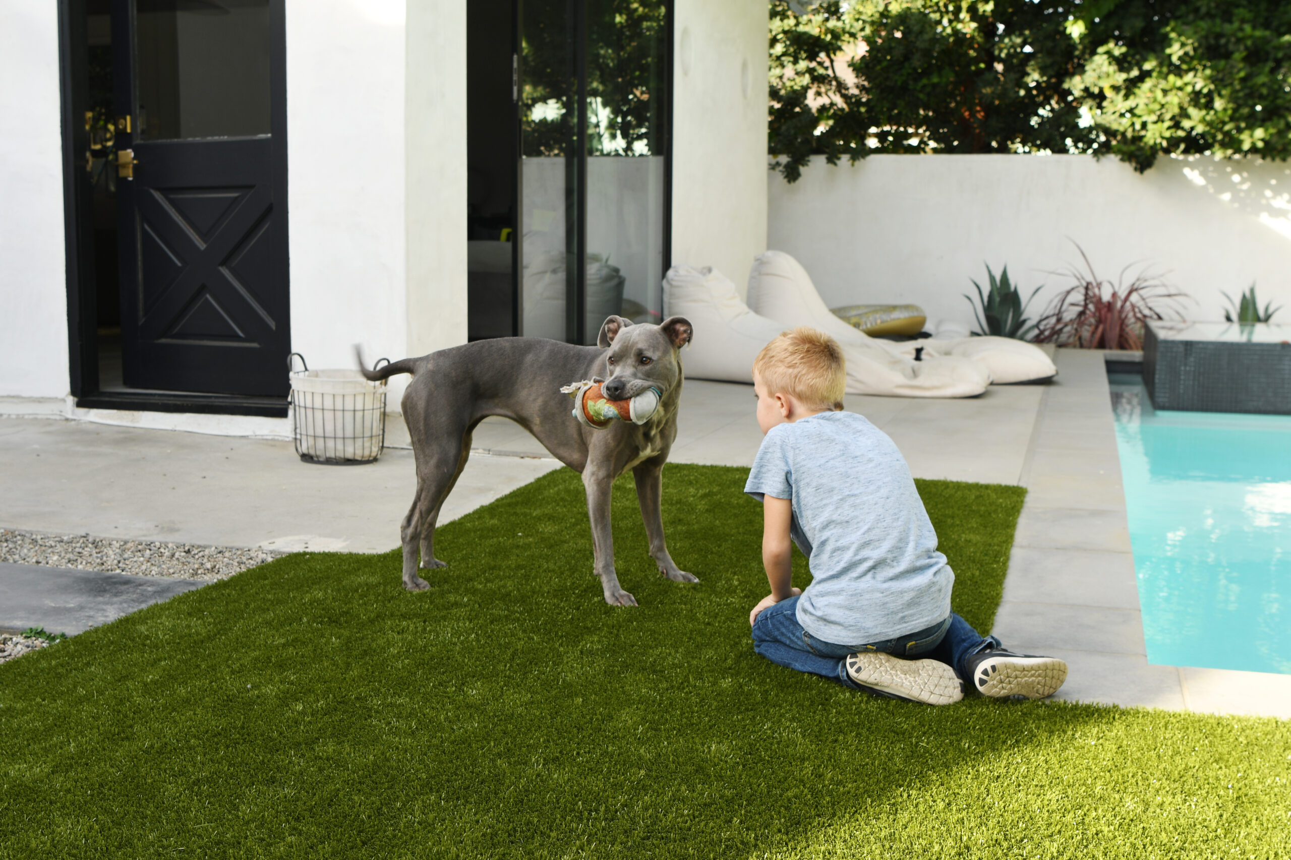 Boy and dog on K9Grass
