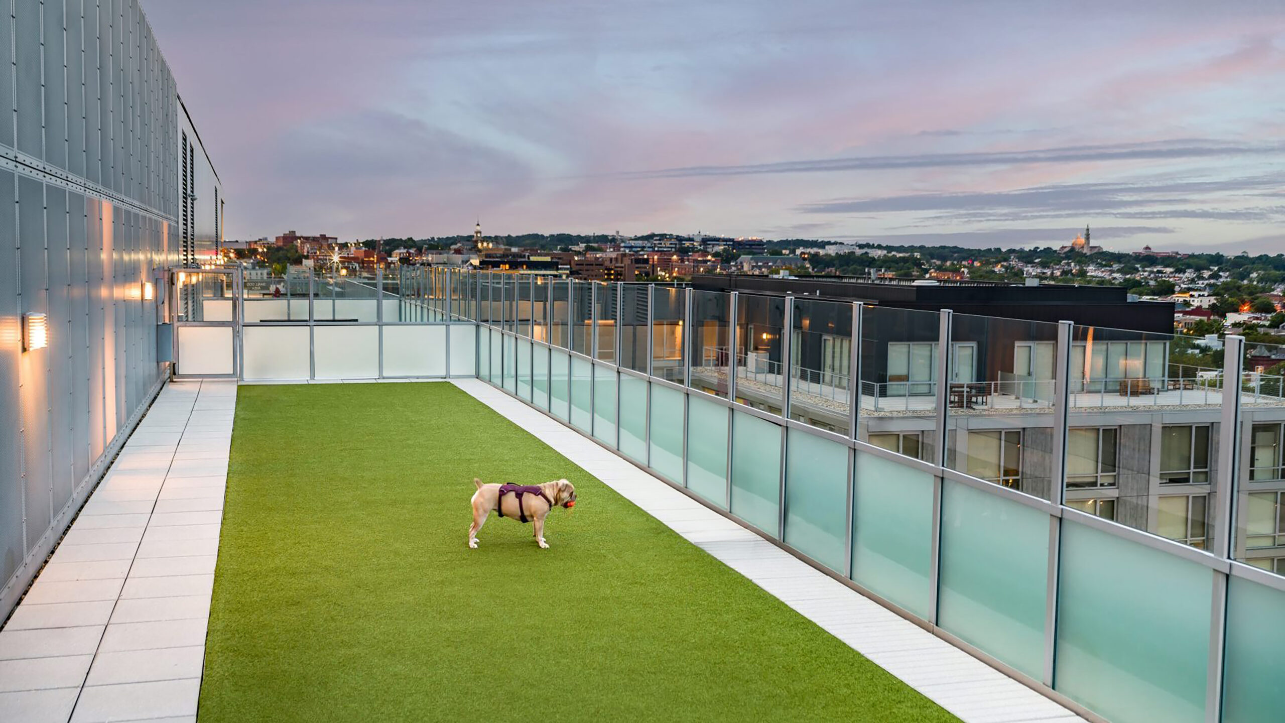 Apartment with K9Grass pet turf