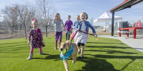 Dog park with K9Grass synthetic grass