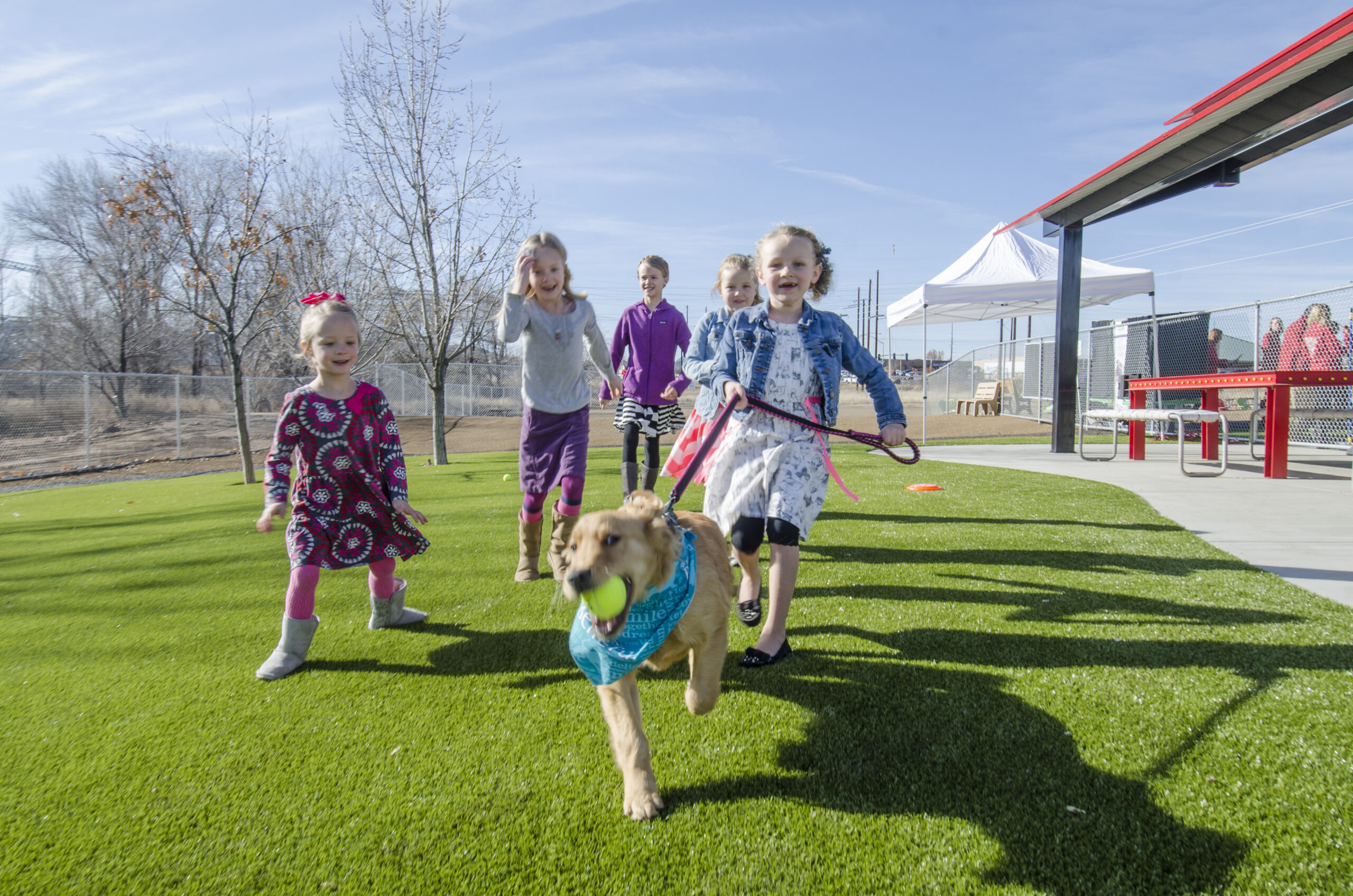 Dog park with K9Grass synthetic grass