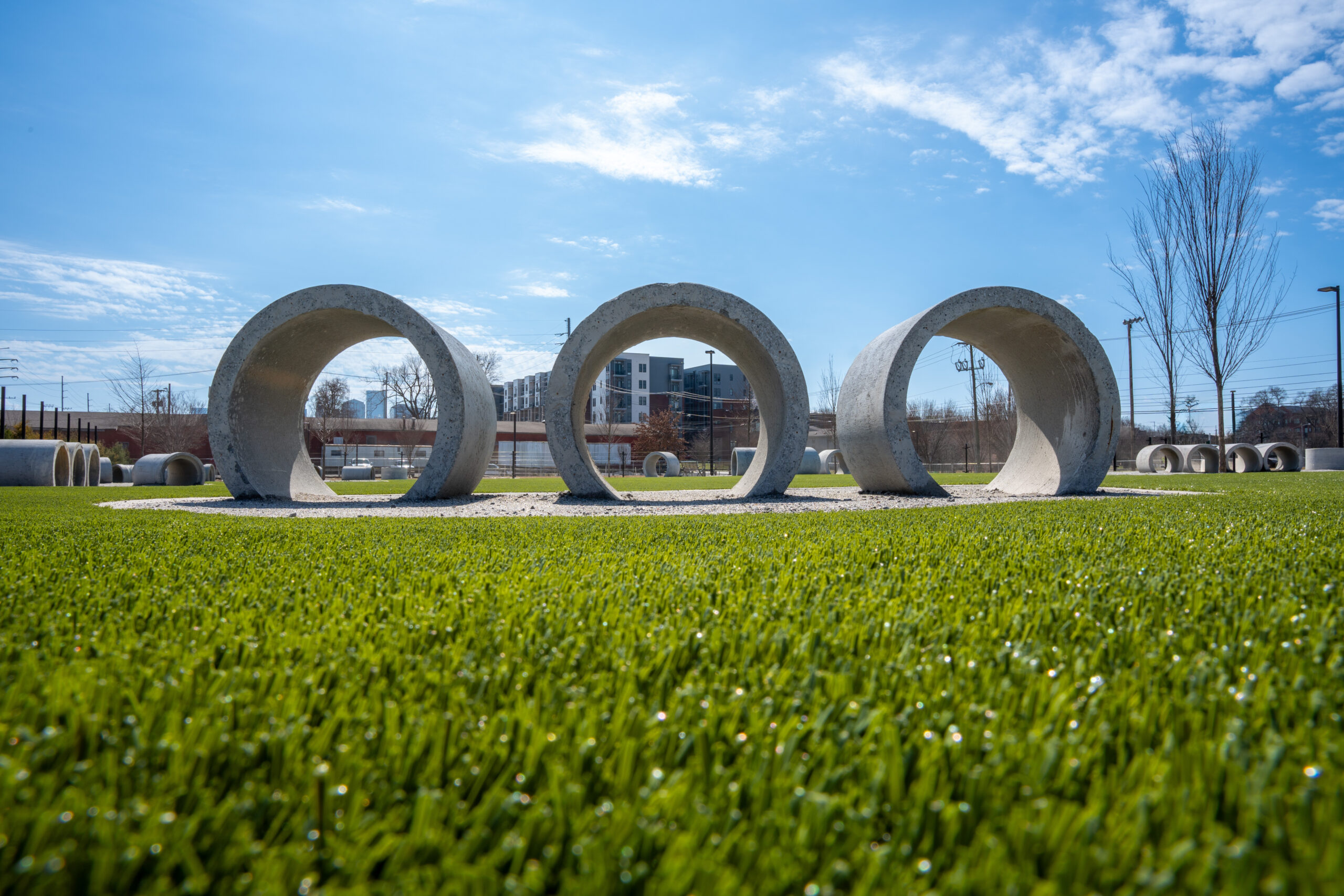 The Central Dog Park